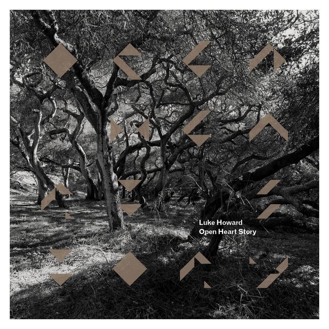 Album cover art for Open Heart Story