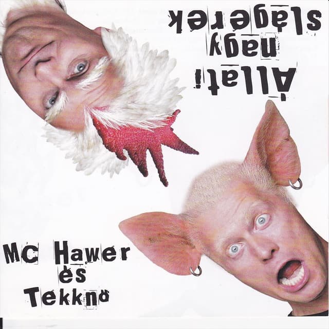 Album cover art for Állati nagy slágerek