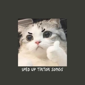 Album cover art for Sped up TikTok songs | Sped up Orinn #17