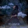 꽃 Flower (Flower)