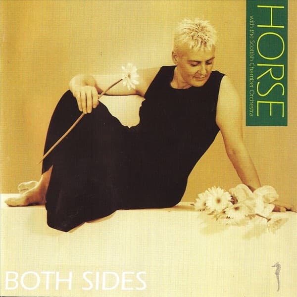 Album cover art for Both Sides
