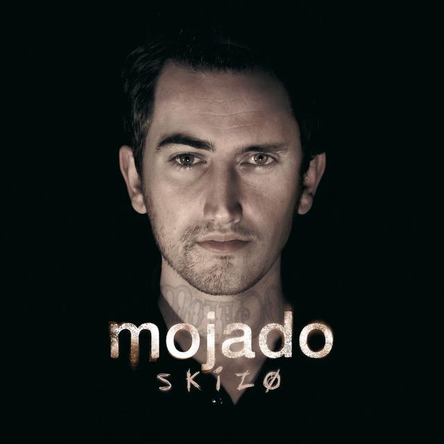 Album cover art for Skizo