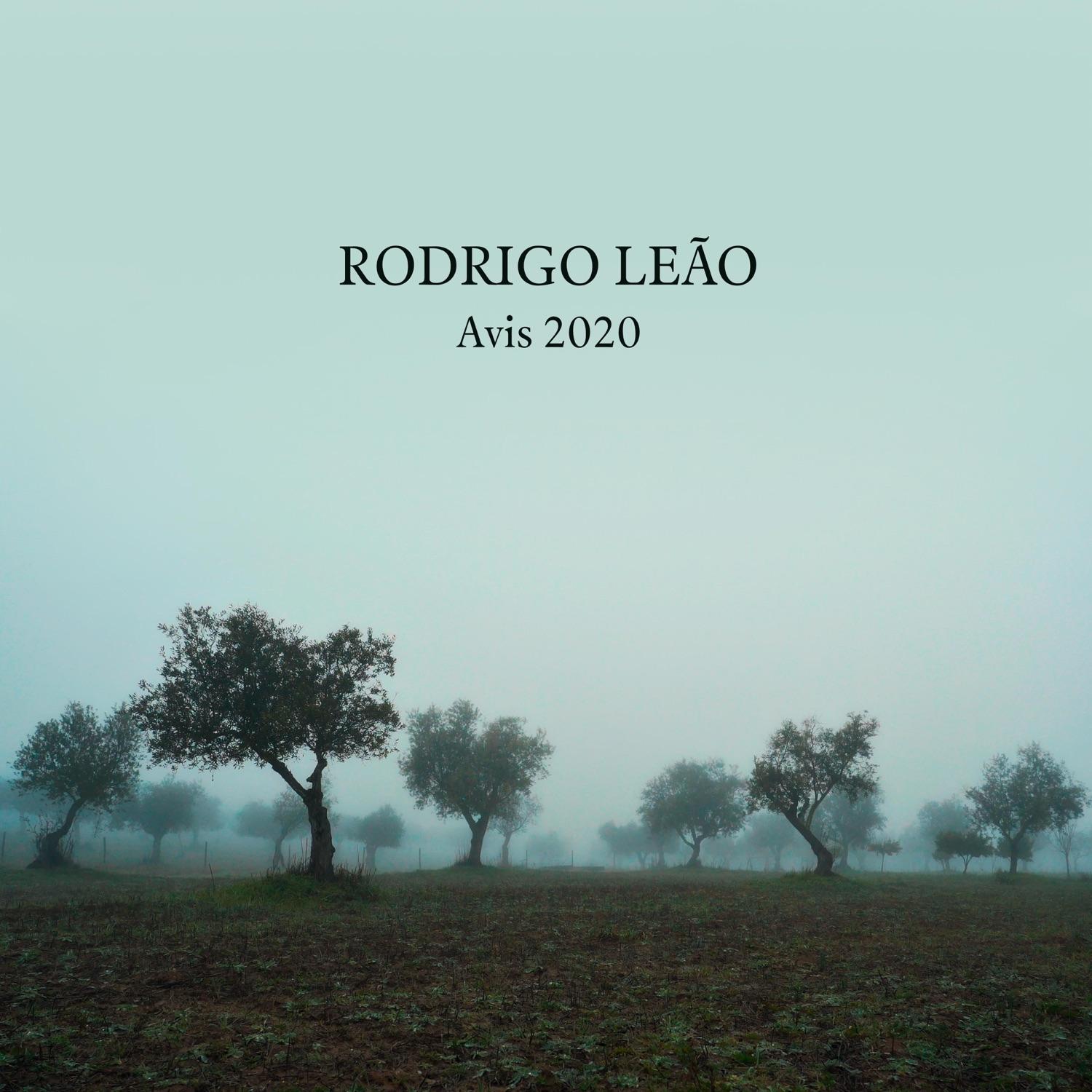 Avis 2020