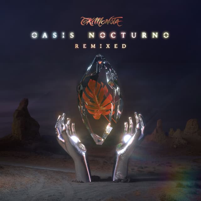 Album cover art for Oasis Nocturno
