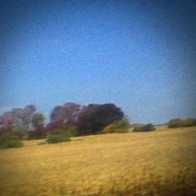 Album cover art for Benji
