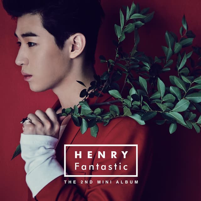 Album cover art for Fantastic