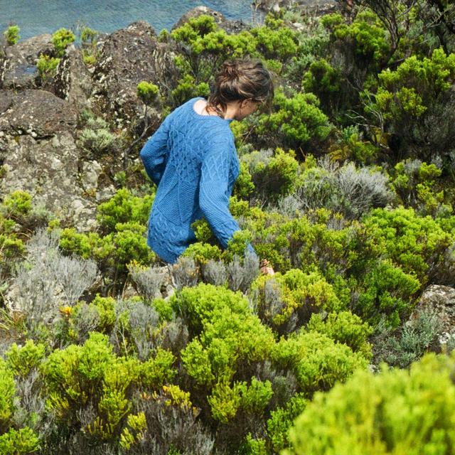 Album cover art for Fidel