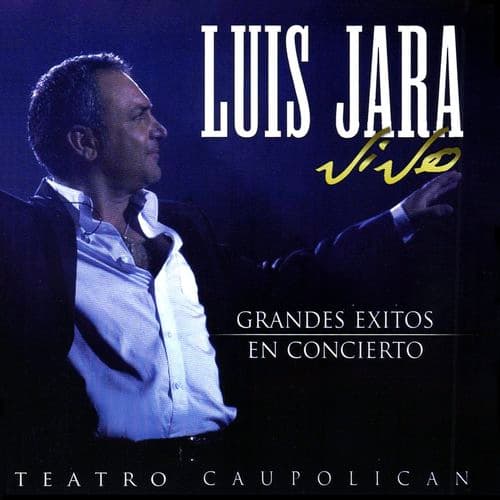 Album cover art for Luis Jara Vive: Grandes Éxitos en Concierto - Teatro Caupolicán