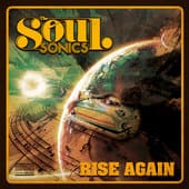 Album cover art for Rise Again