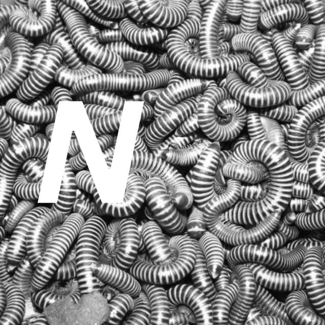 Album cover art for n