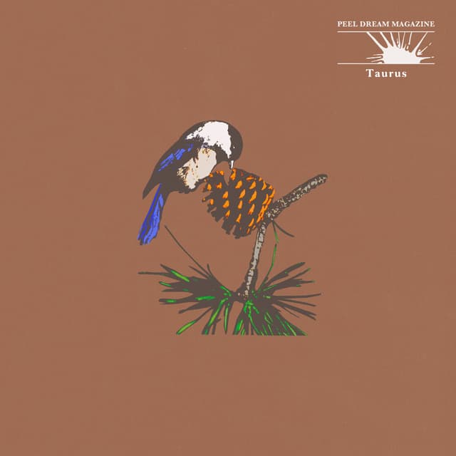 Album cover art for Taurus