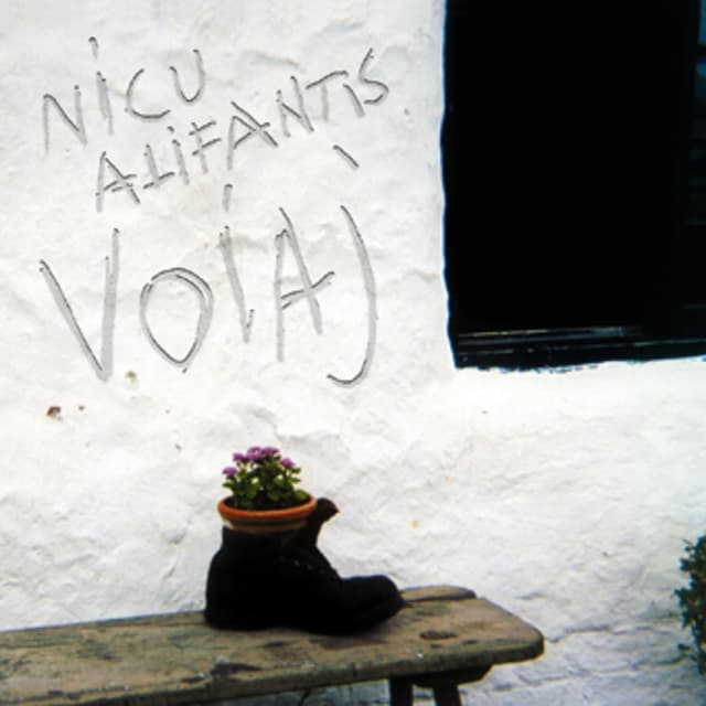 Album cover art for Voiaj