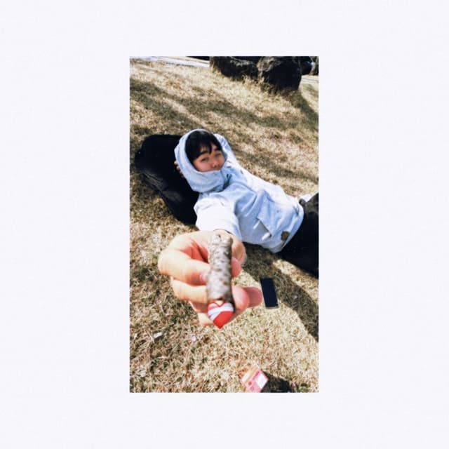 Album cover art for Craving Love