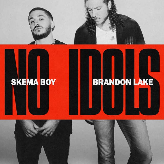 Album cover art for No Idols