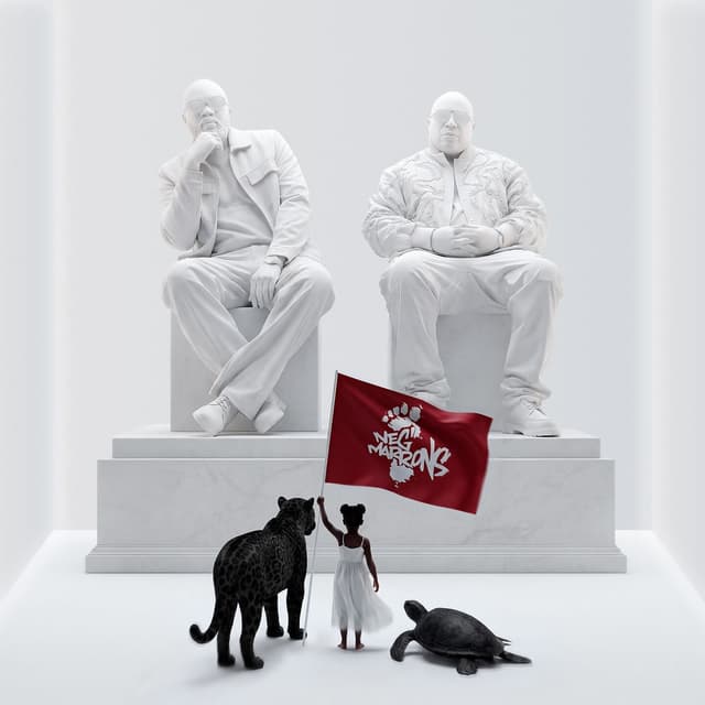 Album cover art for Nèg' Marrons