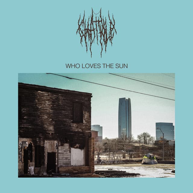 Album cover art for Who Loves The Sun