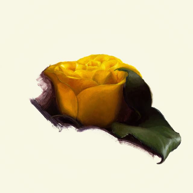 Album cover art for Yellow Rose