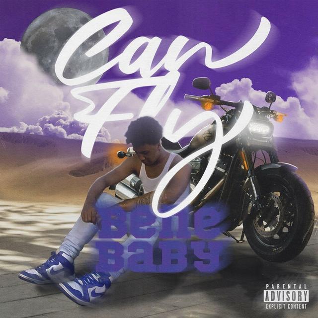 Album cover art for Can Fly