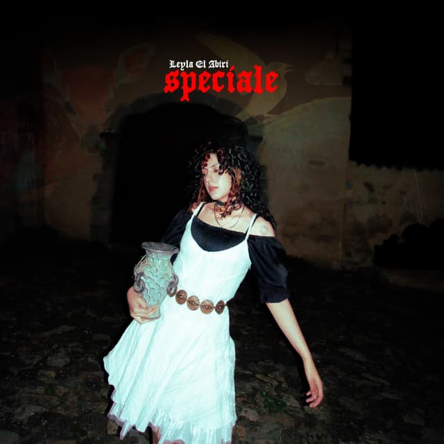 Album cover art for speciale