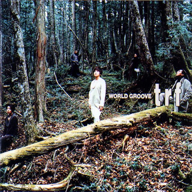 Album cover art for World Groove