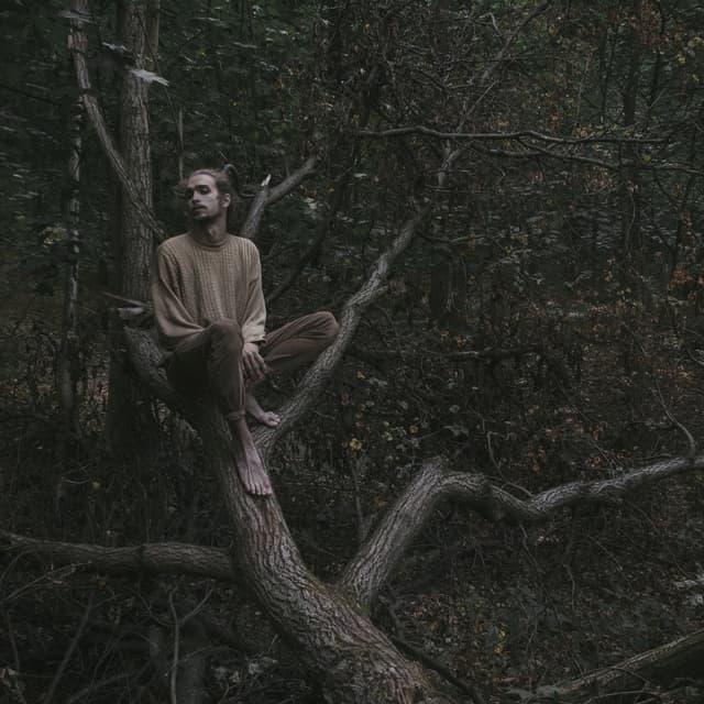 Album cover art for добраться до него