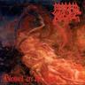 Blessed Are the Sick/Leading the Rats