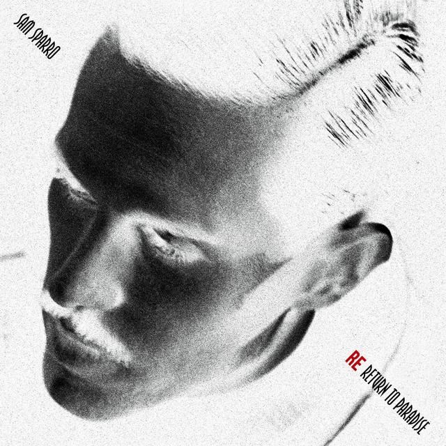 Album cover art for Re-Return To Paradise