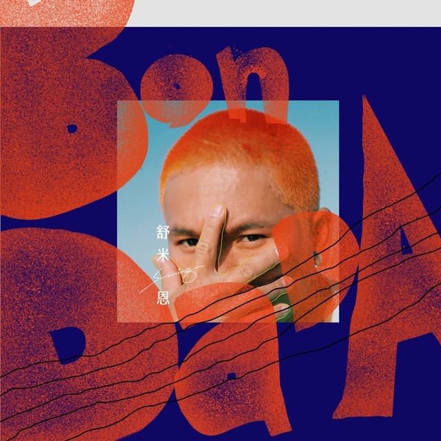 Album cover art for Bondada