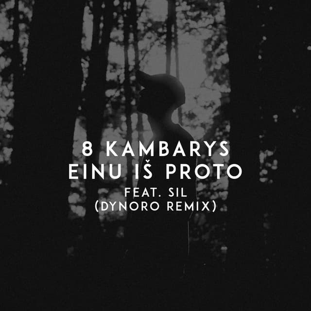 Album cover art for Einu iš proto (Dynoro remix)