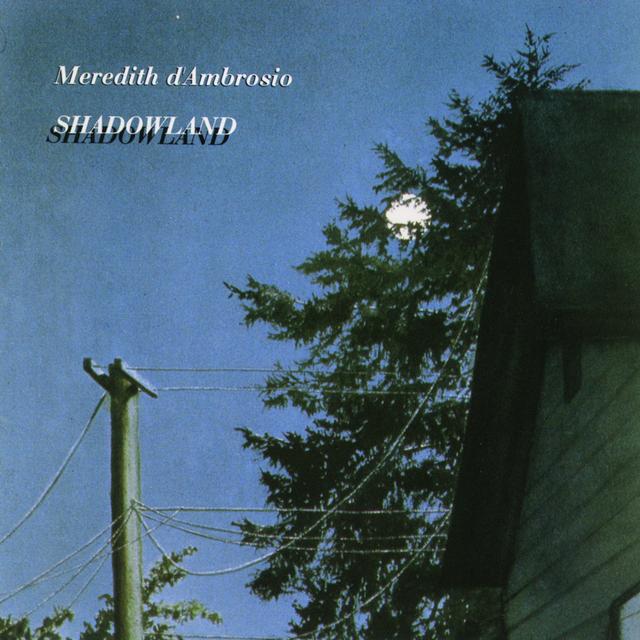 Album cover art for Shadowland