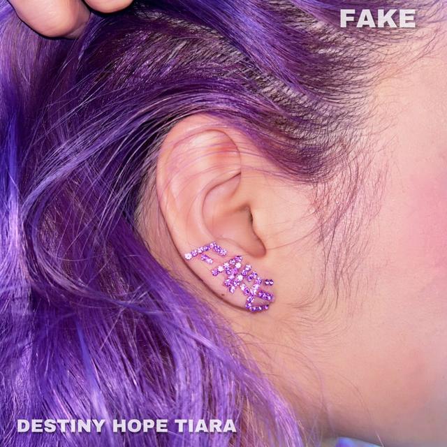 Album cover art for FAKE
