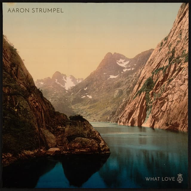 Album cover art for What Love