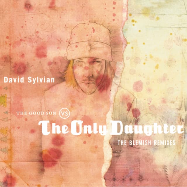 Album cover art for The Good Son vs. The Only Daughter: The Blemish Remixes