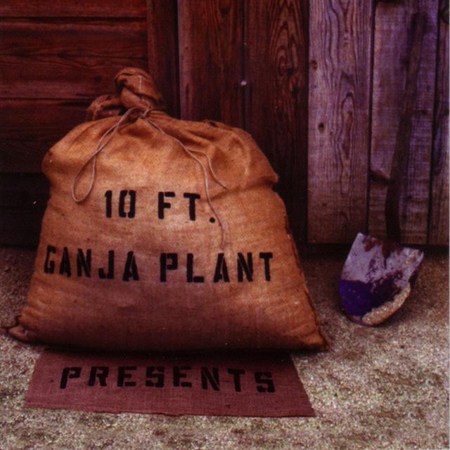Album cover art for Presents