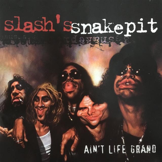 Album cover art for Ain't Life Grand