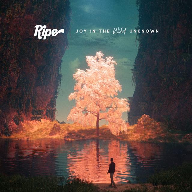 Album cover art for Joy in the Wild Unknown
