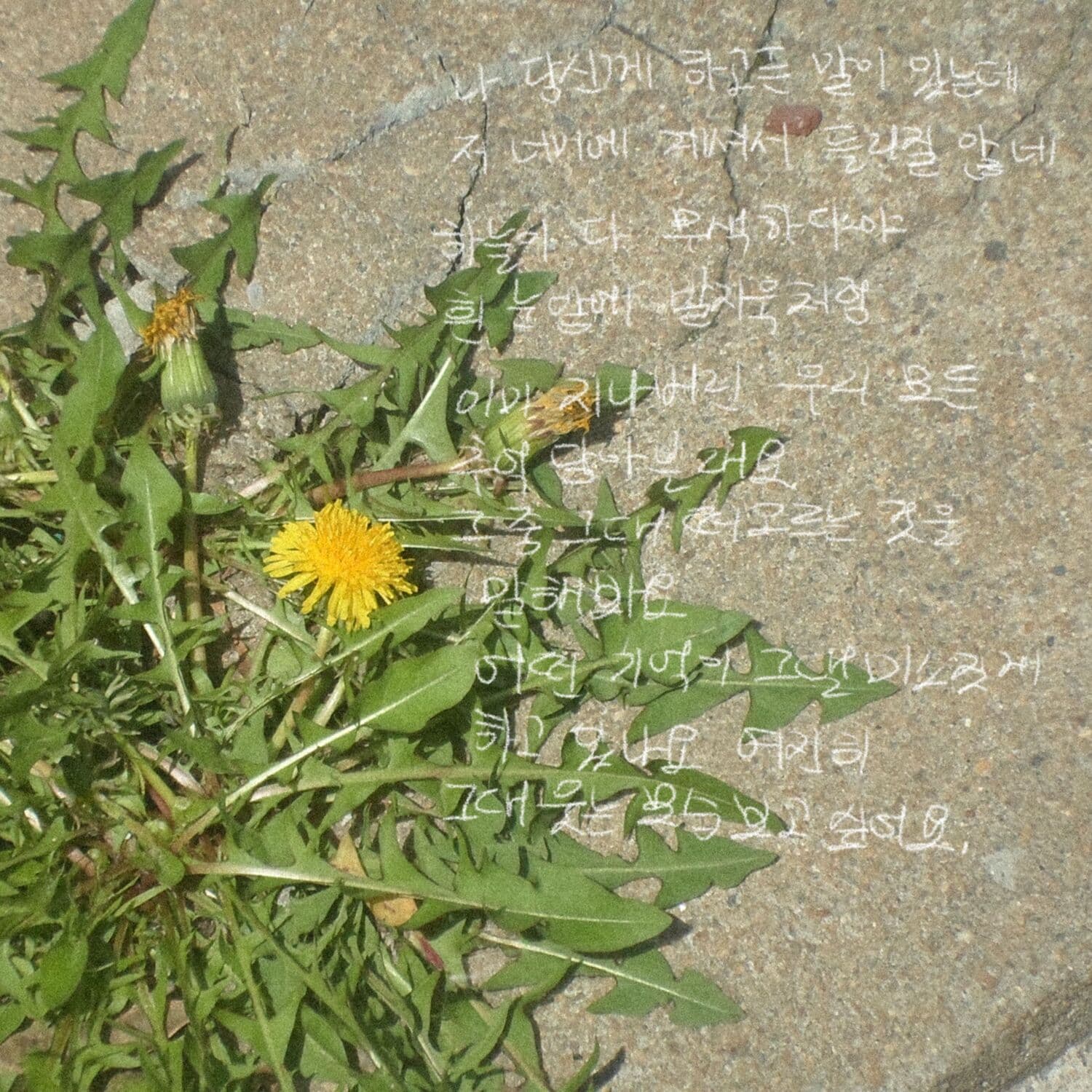 Lyric cover art