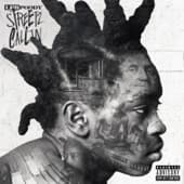 Album cover art for Streetz Callin'