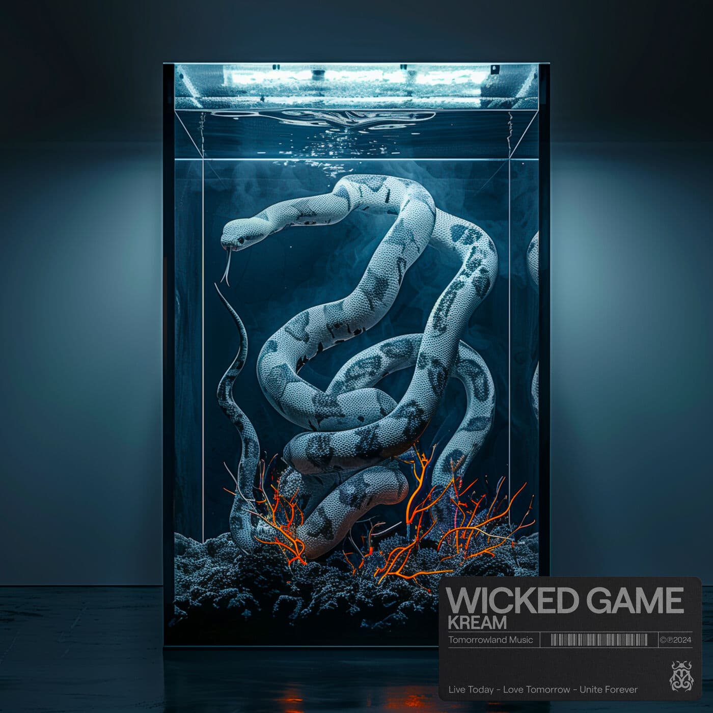 Lyric cover art