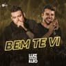 Bem Te Vi