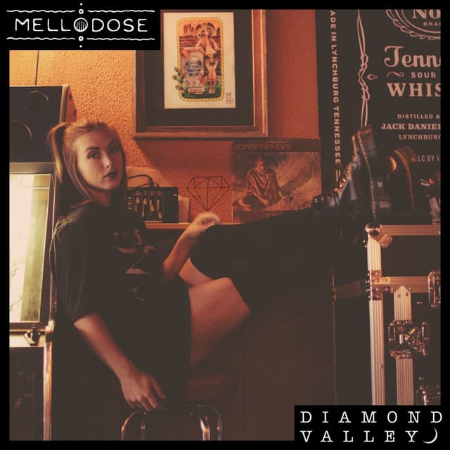 Album cover art for DIAMOND VALLEY