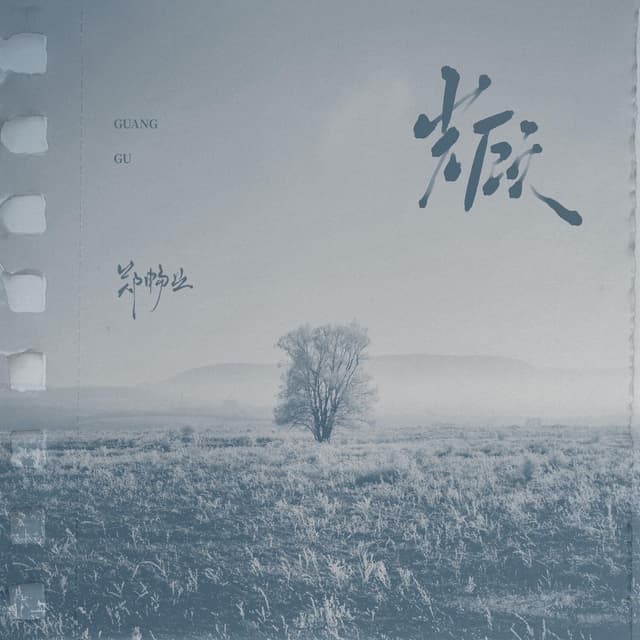 Album cover art for 光顾