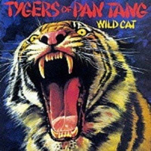 Wild Cat