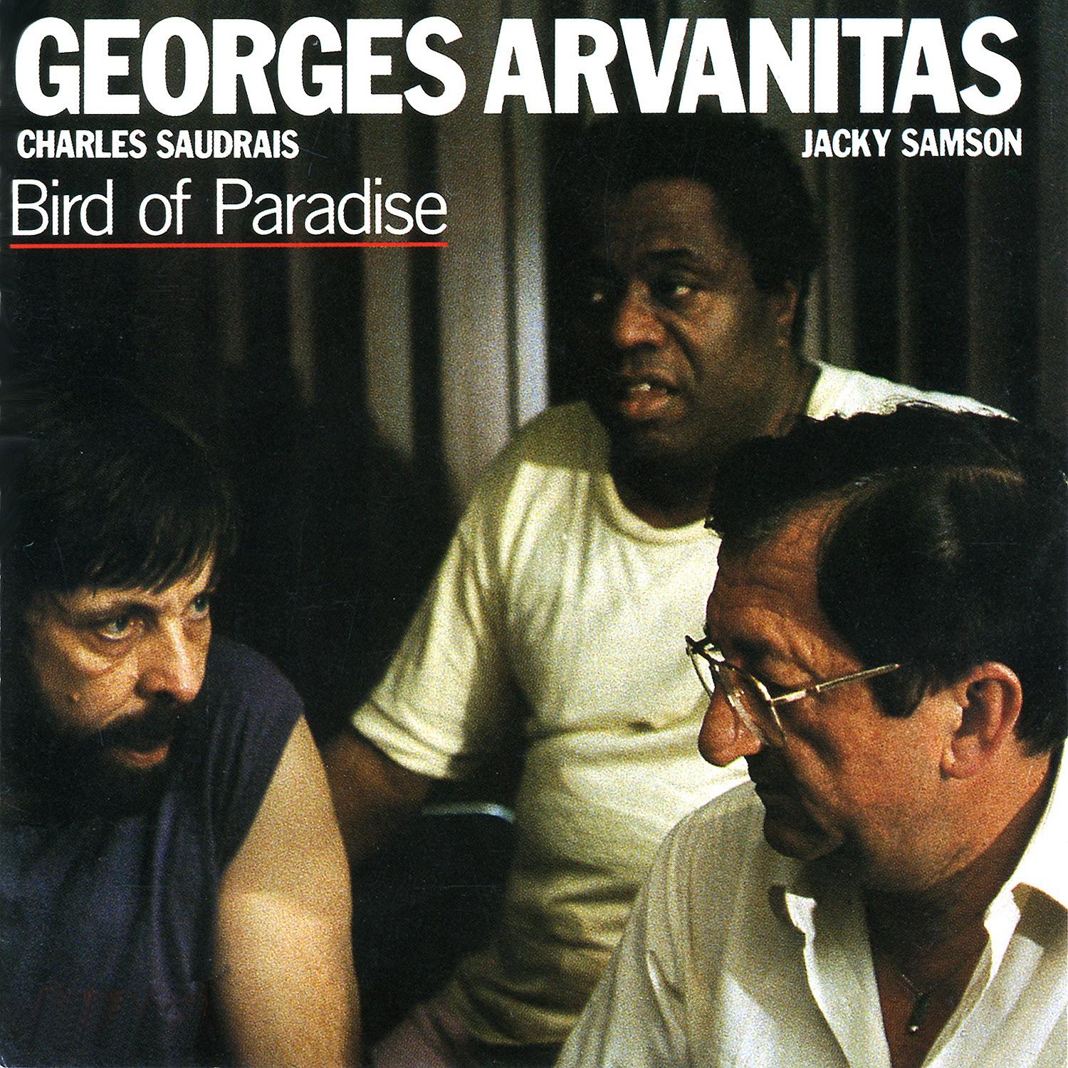 Bird Of Paradise