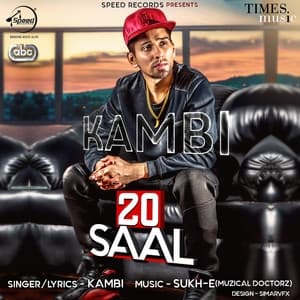 Album cover art for 20 Saal