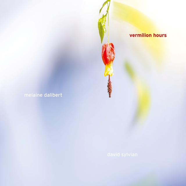 Album cover art for Vermilion Hours