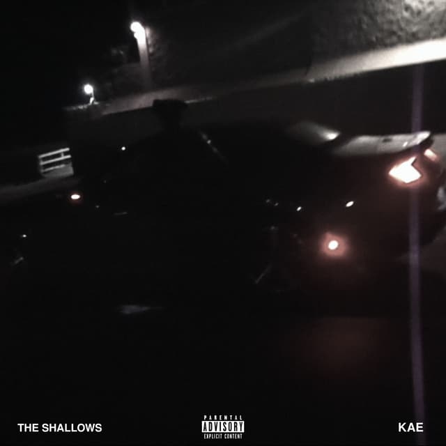 Album cover art for THE SHALLOWS