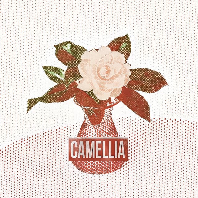 Album cover art for 茶花开了，该回家了