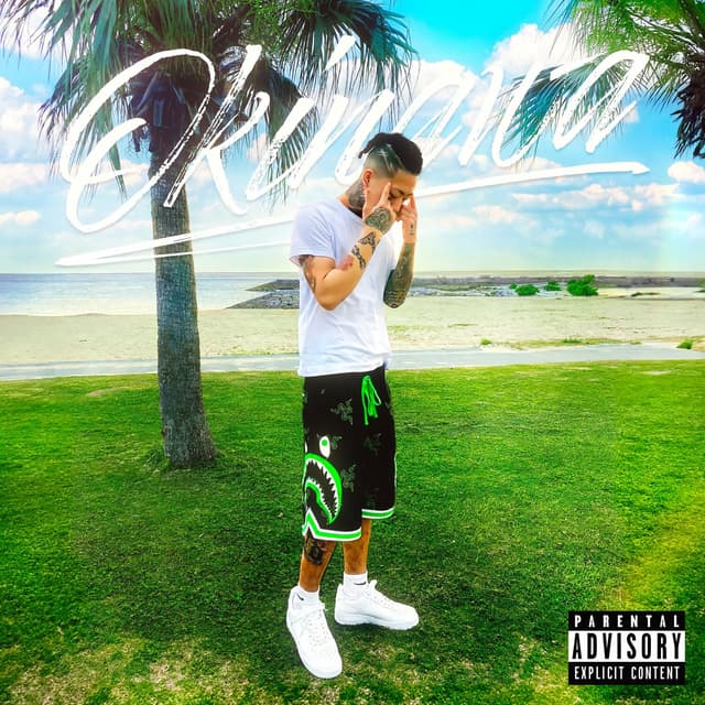 Album cover art for Okinawa - Single