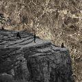 Album cover art for Nowhere